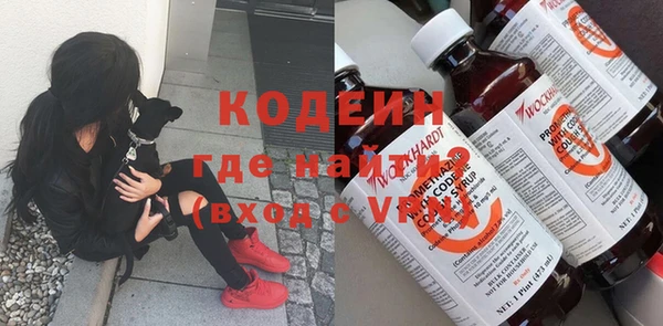хмурый Алзамай