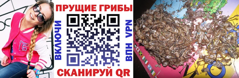 Галлюциногенные грибы ЛСД  наркота  Лянтор 